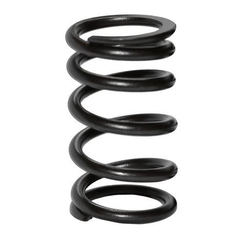 Type 4, 914 Valve Spring (Set of 8)