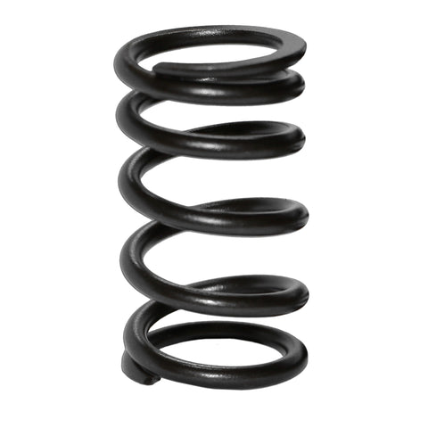 Single High-Rev Valve Springs for VW Type 1, 2, and 3 (Set of 8)