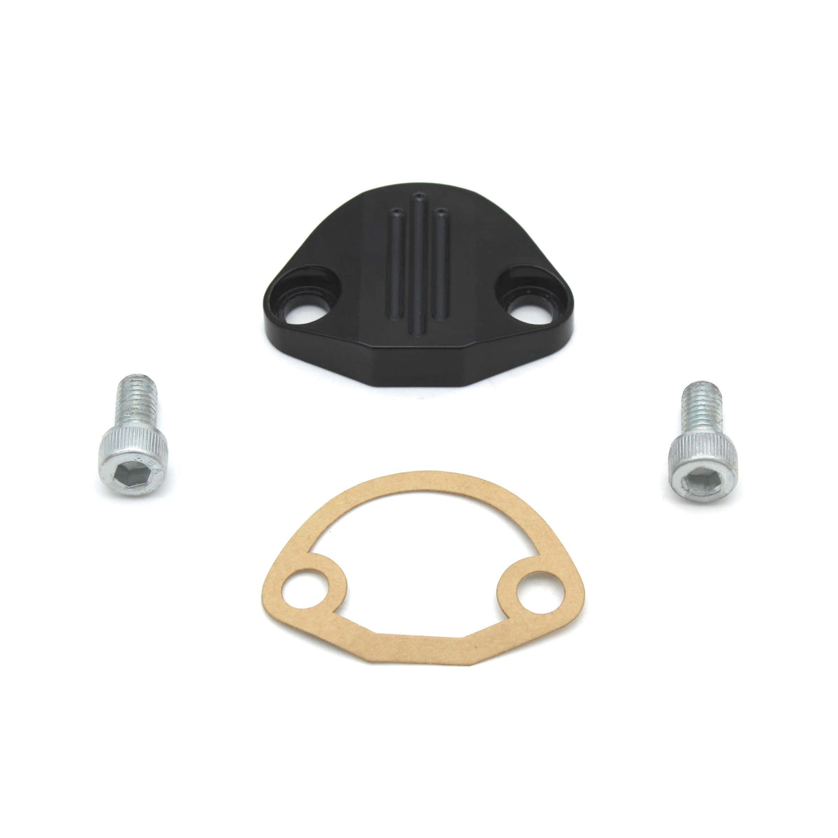 Aluminum Fuel Pump Block-Off w/ Hardware