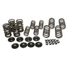 AA Racing Dual Valve Spring Kit