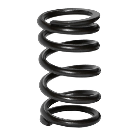 Type 4, 914 Valve Spring (Set of 8) - AA Performance Products