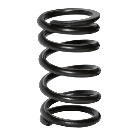 Single High-Rev Valve Springs for VW Type 1, 2, and 3 (Set of 8) | AA ...