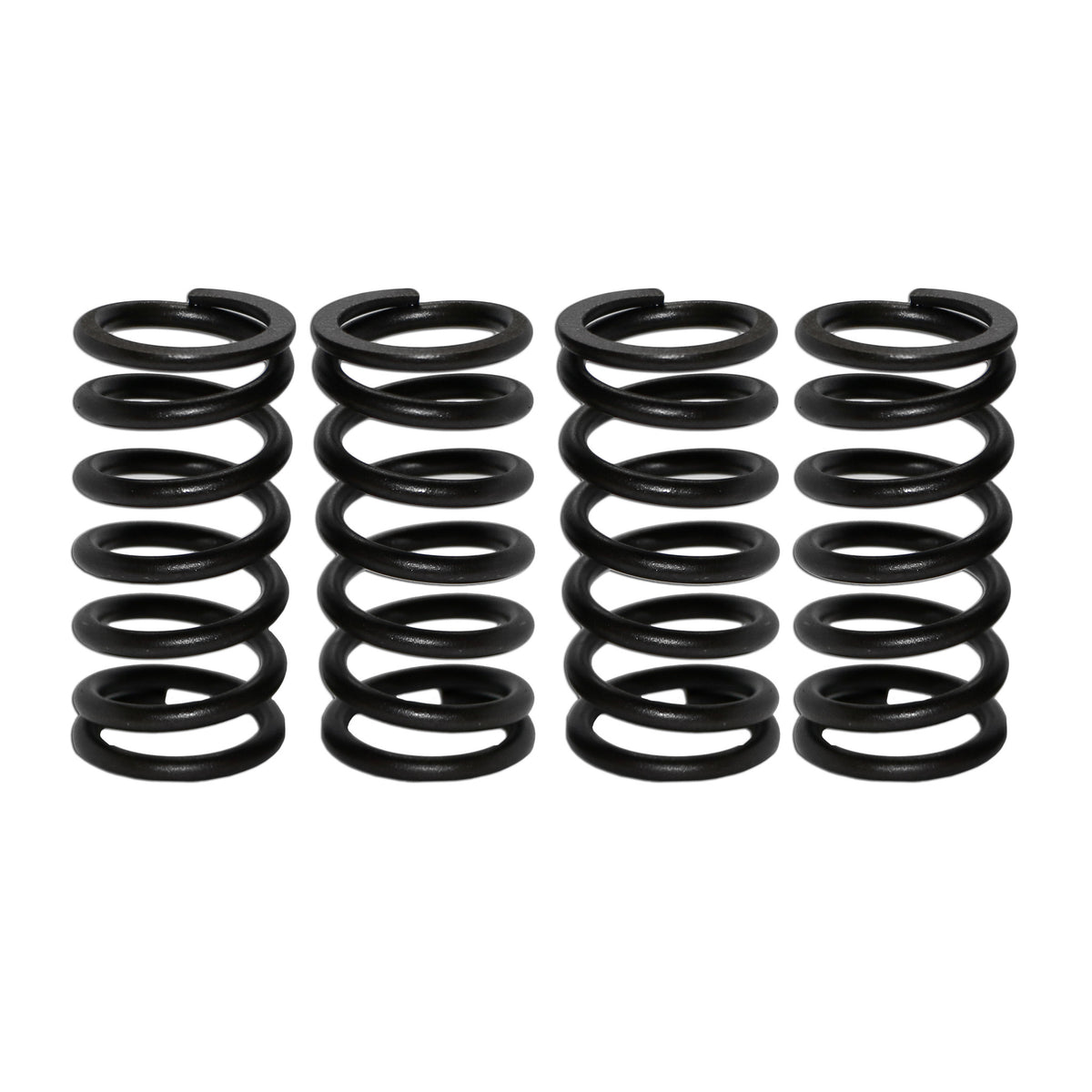 Inner High-Rev Valve Springs for VW Type 1, 2, and 3 (Set of 8) - AA Performance Products