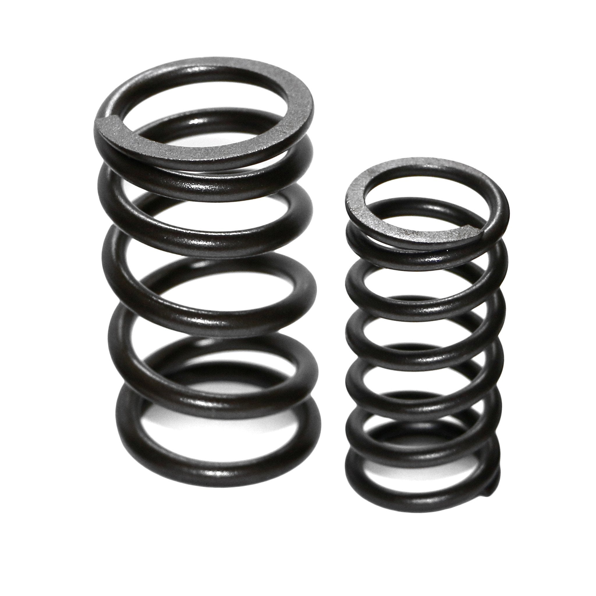 Valve Spring Side View Dual High-Rev Valve Springs for VW Type 1, 2, and 3 (Set of 8) | AA ...